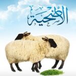 Nabi Pernah Membagikan Kambing-Kambing Untuk Qurban Sahabat